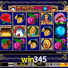 win345 Rio de Janeiro - Professional Dealers